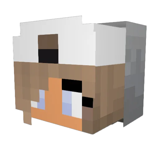 Stixx8 Minecraft avatar head, 3D render