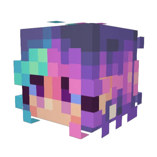 Stjernetaake Minecraft avatar head, 3D render