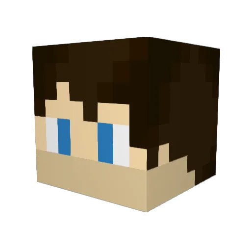 Stjimmy14 Minecraft avatar head, 3D render