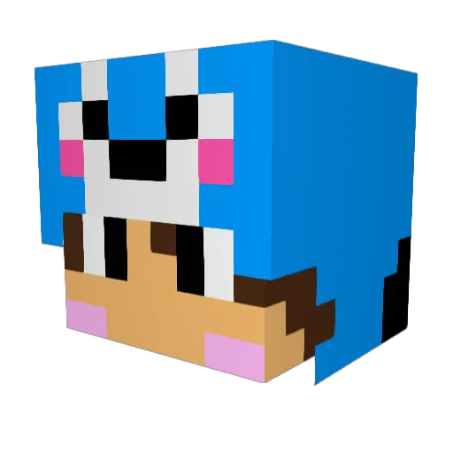 StkrYeahXD Minecraft avatar head, 3D render