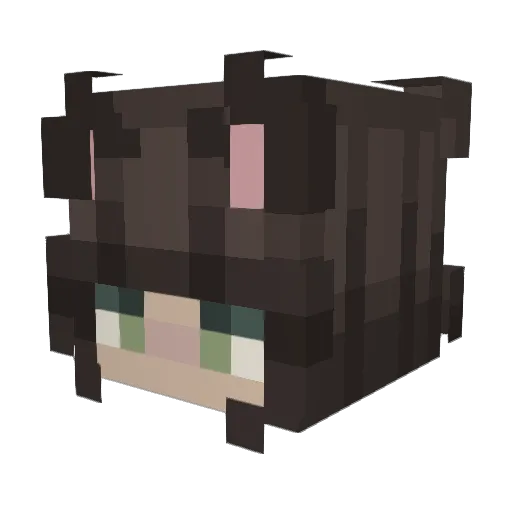 StmpunkTraveler Minecraft avatar head, 3D render