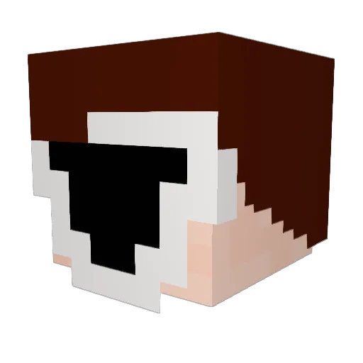 Stnnx Minecraft avatar head, 3D render