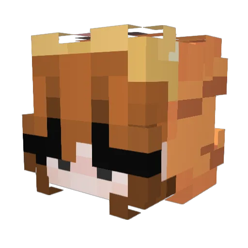 StochButters Minecraft avatar head, 3D render
