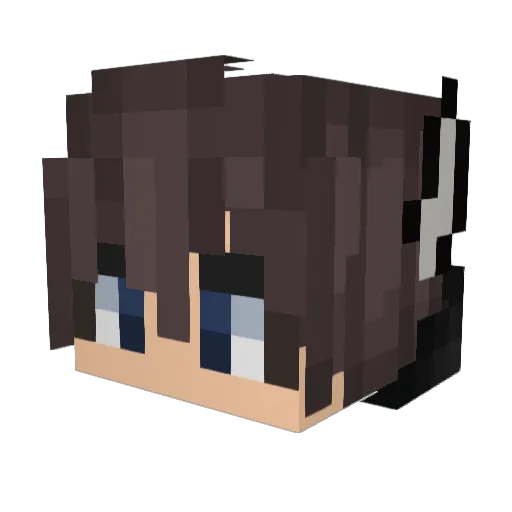 Stockentee45 Minecraft avatar head, 3D render