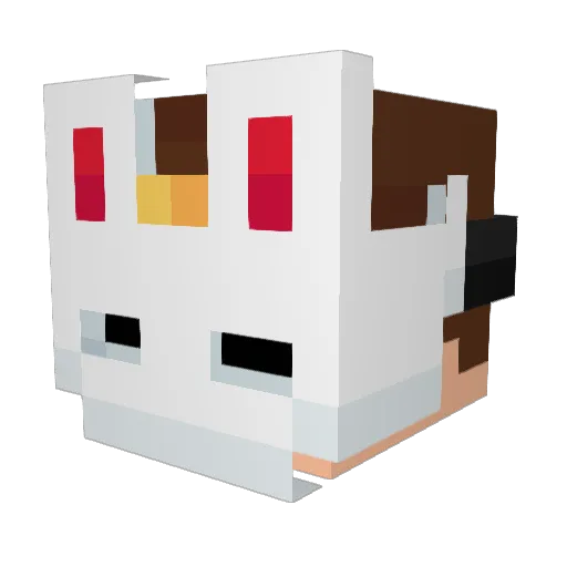 Stodgino Minecraft avatar head, 3D render