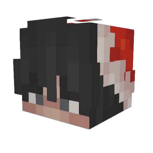 Stoduis Minecraft avatar head, 3D render