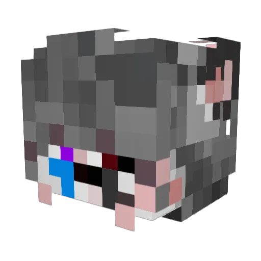 Stodyy Minecraft avatar head, 3D render