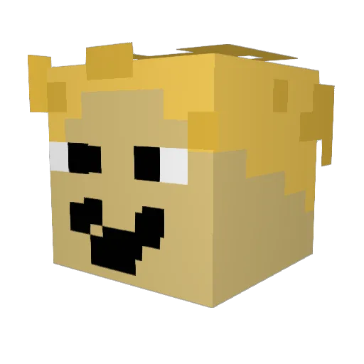 StoenoeMc Minecraft avatar head, 3D render
