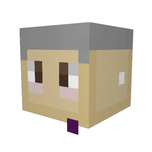 StoereAlbert Minecraft avatar head, 3D render