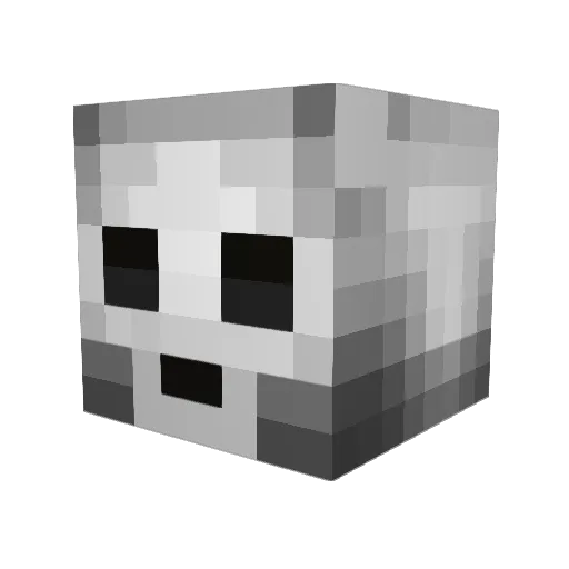Stoinkle Minecraft avatar head, 3D render