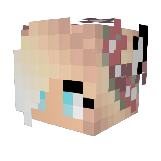 StokStaartje2015 Minecraft avatar head, 3D render