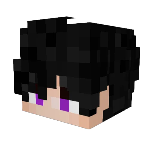 Stokpaut Minecraft avatar head, 3D render