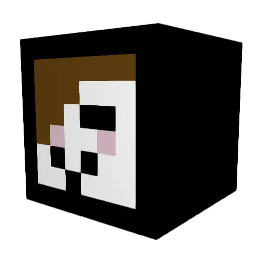 Stokrotka06 Minecraft avatar head, 3D render