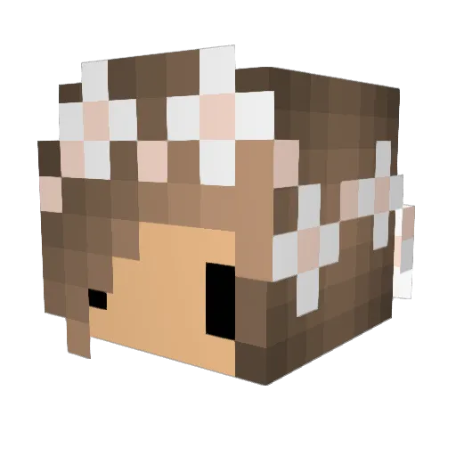 Stolac07 Minecraft avatar head, 3D render