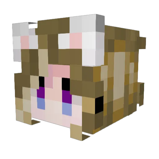 Stolas25 Minecraft avatar head, 3D render