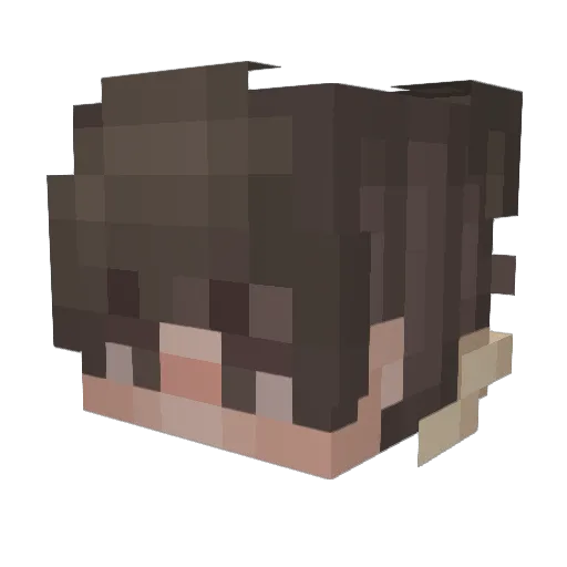 StoleUrKneecap Minecraft avatar head, 3D render