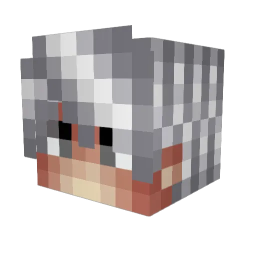 StolenApple Minecraft avatar head, 3D render