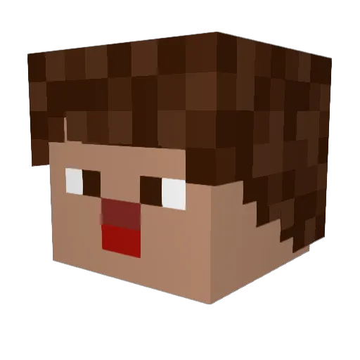 Stom4 Minecraft avatar head, 3D render