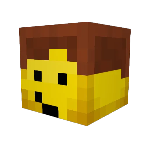 Stompywampy Minecraft avatar head, 3D render