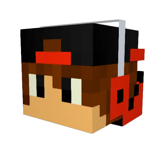Stone2491 Minecraft avatar head, 3D render