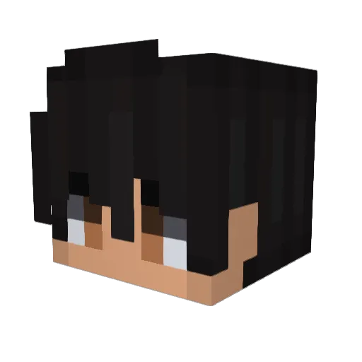 StoneBear26 Minecraft avatar head, 3D render
