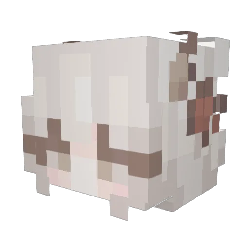StonePancake469 Minecraft avatar head, 3D render