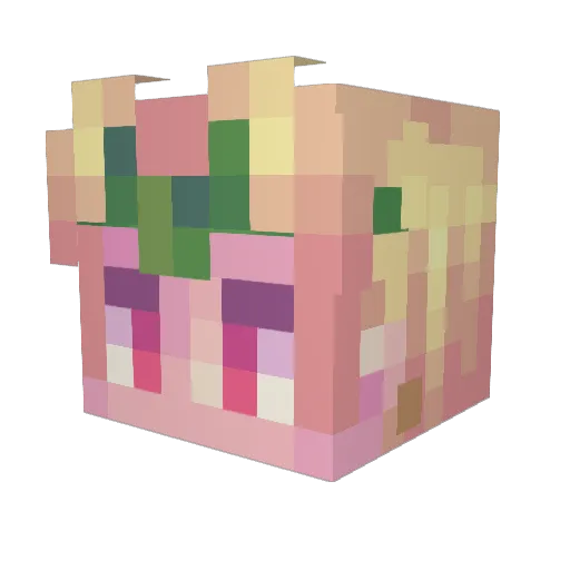StoneRiver5102 Minecraft avatar head, 3D render