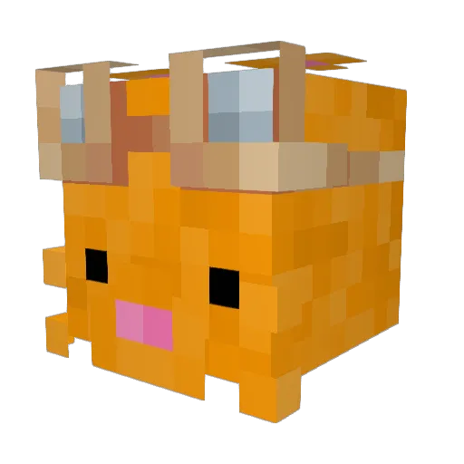 StoneSargent Minecraft avatar head, 3D render