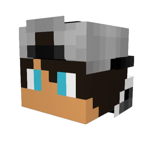 StoneSmashers360 Minecraft avatar head, 3D render