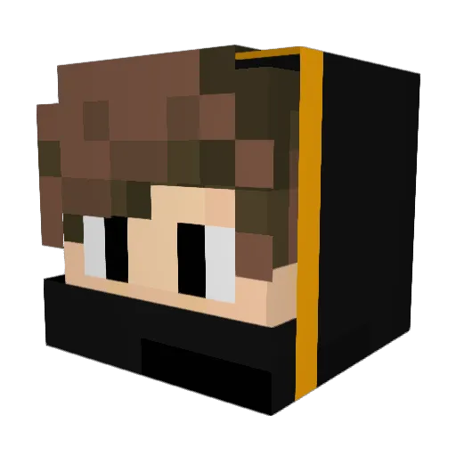 StoneTripod6981 Minecraft avatar head, 3D render