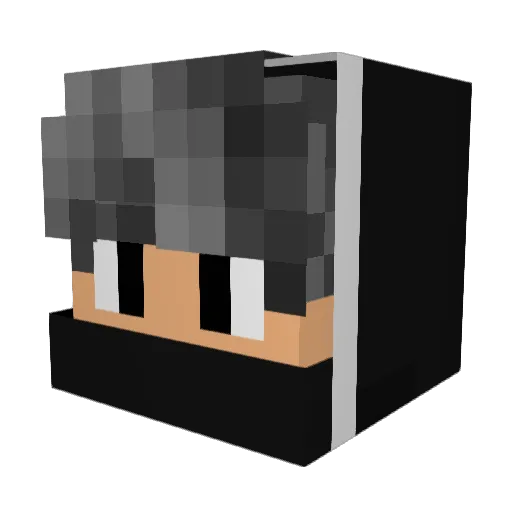 Stone_889 Minecraft avatar head, 3D render