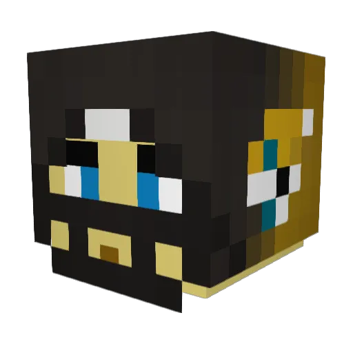 Stonebags Minecraft avatar head, 3D render