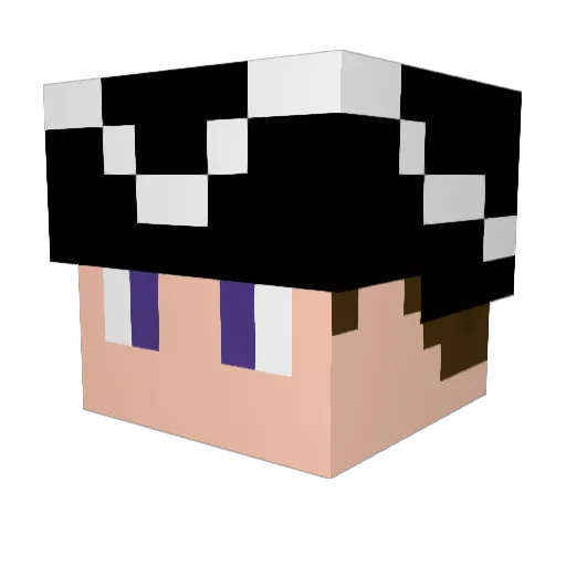 Stonebroom24031 Minecraft avatar head, 3D render
