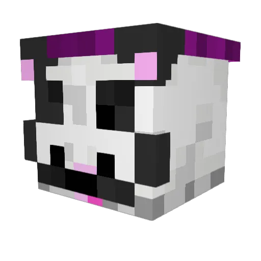 StonedPanda420 Minecraft avatar head, 3D render