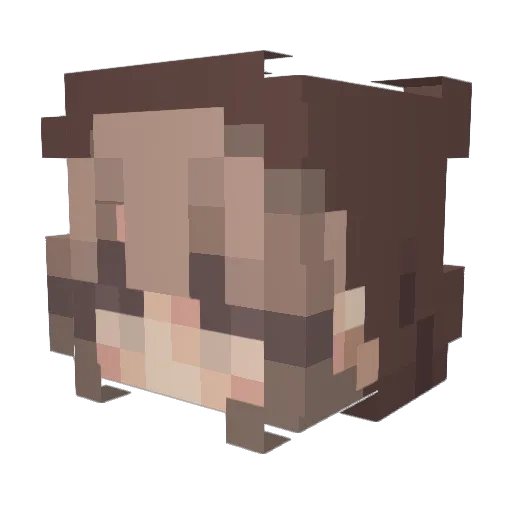 StonedXander Minecraft avatar head, 3D render