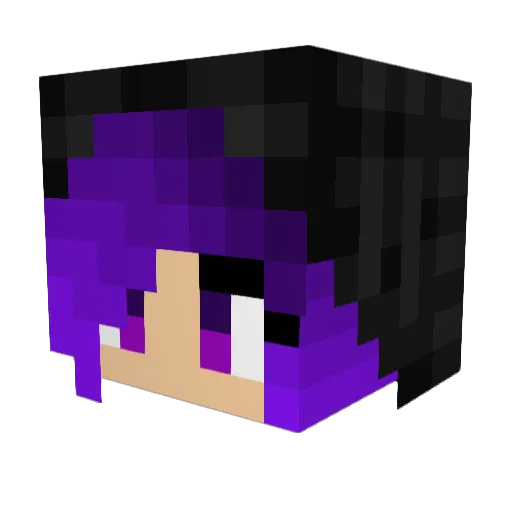 Stoned_Bones420 Minecraft avatar head, 3D render