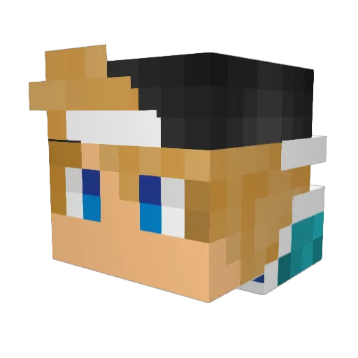 Stonedguy420 Minecraft avatar head, 3D render