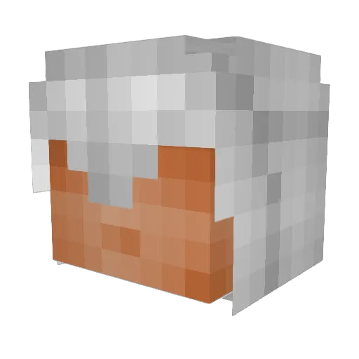 Stonefight1 Minecraft avatar head, 3D render