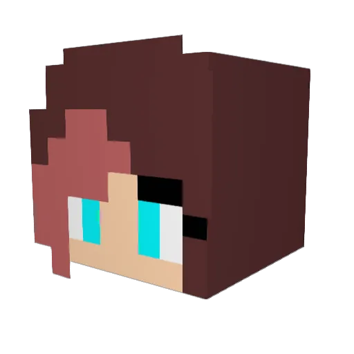 Stoneflower2 Minecraft avatar head, 3D render