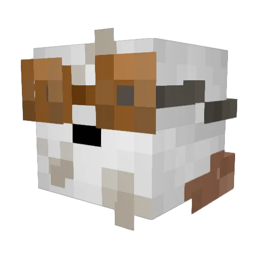 StonerMason Minecraft avatar head, 3D render