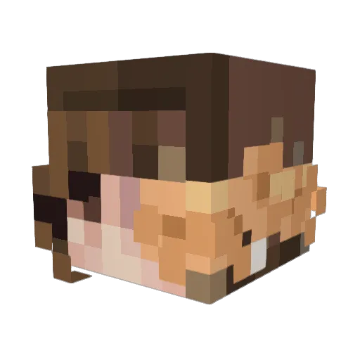 StonerNotFound Minecraft avatar head, 3D render