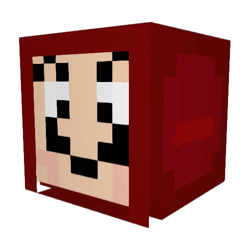 Stones0 Minecraft avatar head, 3D render