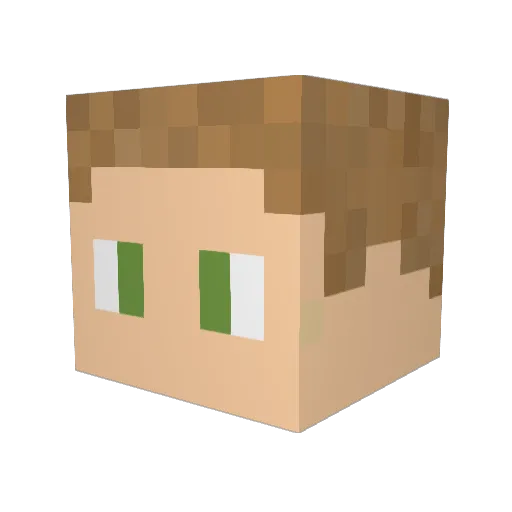 Stones14500 Minecraft avatar head, 3D render