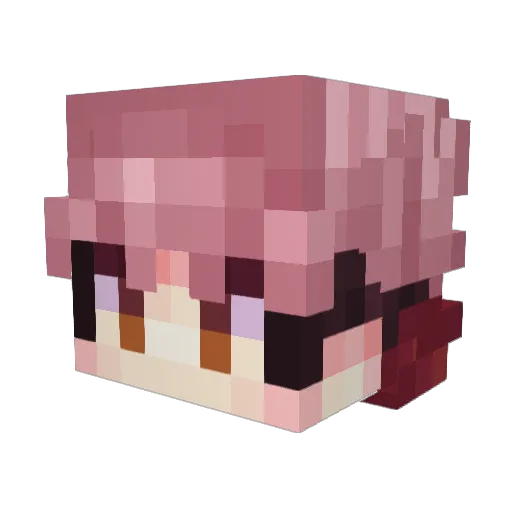 Stonewall119 Minecraft avatar head, 3D render