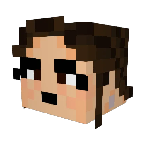 Stoneypatchkid1 Minecraft avatar head, 3D render