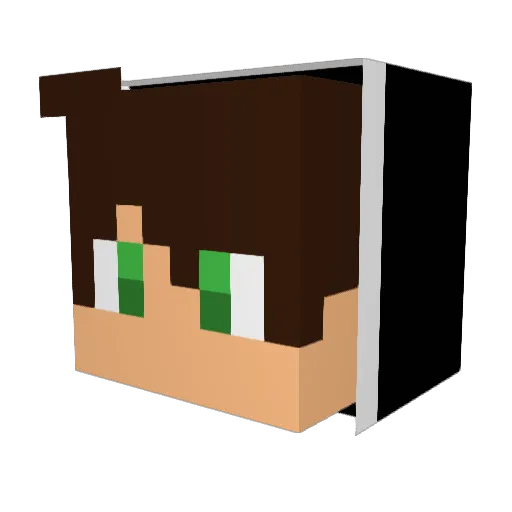 Stongi8 Minecraft avatar head, 3D render