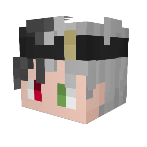 StoniWan0420 Minecraft avatar head, 3D render