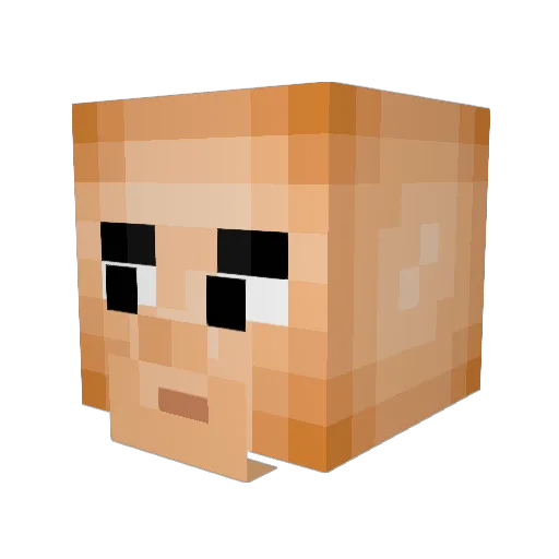 Stoniae Minecraft avatar head, 3D render