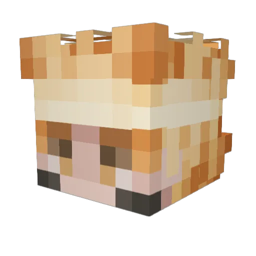 StonyPine Minecraft avatar head, 3D render