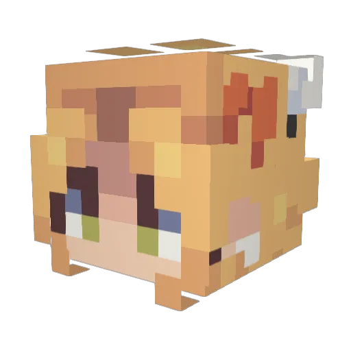StonyShip Minecraft avatar head, 3D render